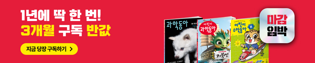 3개월반값/커머스