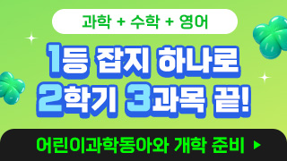 커머스/8월 신규