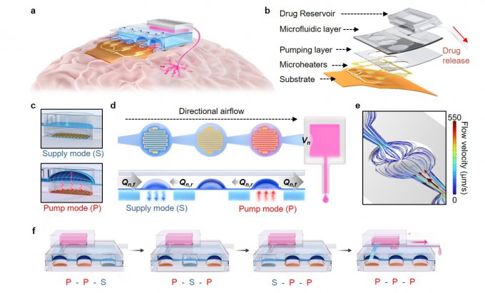 Wireless Device Delivers Drugs Deep into the Brain - DongA Science