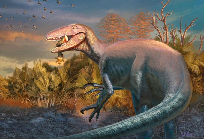 호아킨랩토르 카살리의 복원도. Credit/Andrew McAfee, Carnegie Museum of Natural History