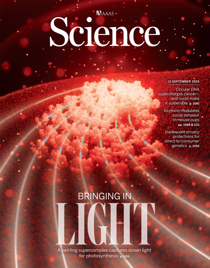 Science 제공