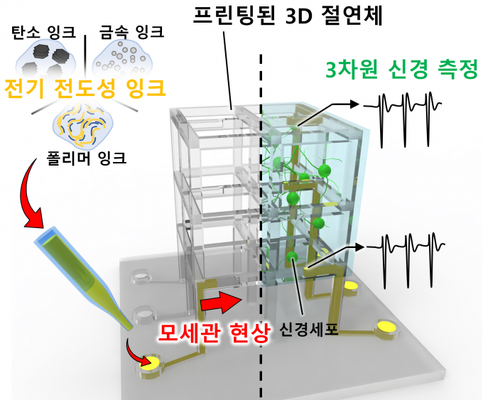 체외배양 3D 신경네트웍 모델용 맞춤형 세포배양 지지체-미세전극칩 일체형 플랫폼 개요도. KAIST 제공
