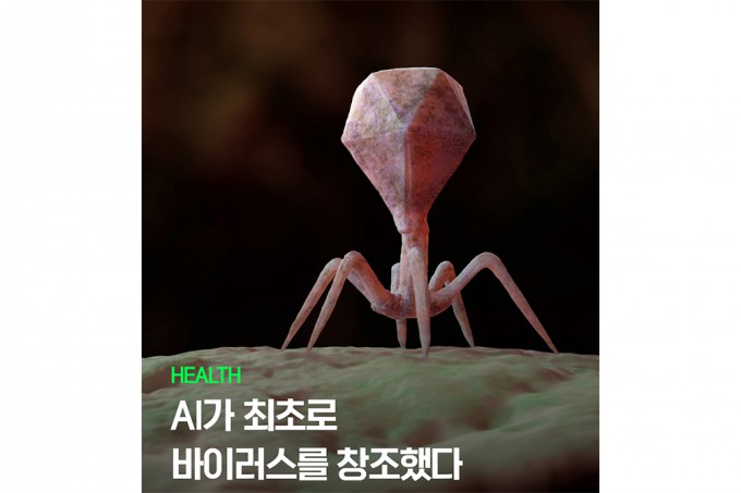미국 스탠퍼드대 제공