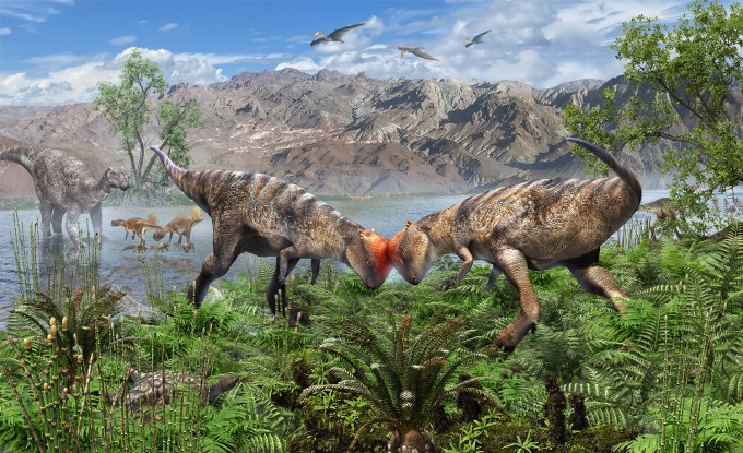 파키케팔로사우루스의 생태를 상상해 그린 그림. 두꺼운 돔형 두개골은 자기 방어 수단이나 짝을 유인하는 데 활용됐을 것으로 추정된다. Masaya Hattori 제공