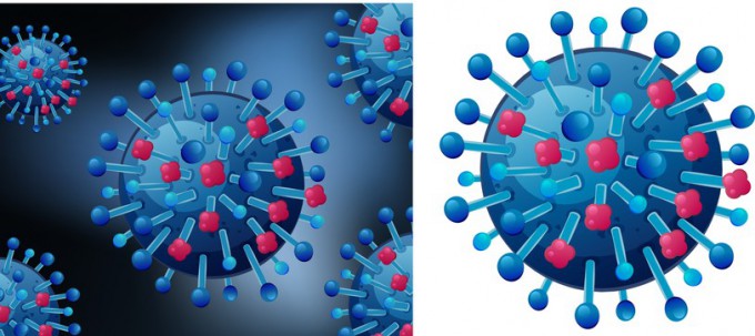 독감을 일으키는 인플루엔자 바이러스를 나타낸 이미지. 게티이미지뱅크 제공.