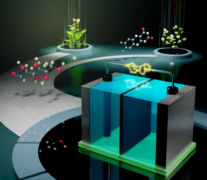 미국 과학자들이 비타민B2인 리보플라빈과 포도당으로 작동하는 배터리를 개발했다. ACS Energy Letters 제공