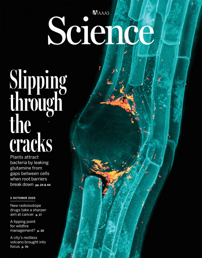 사이언스 제공.