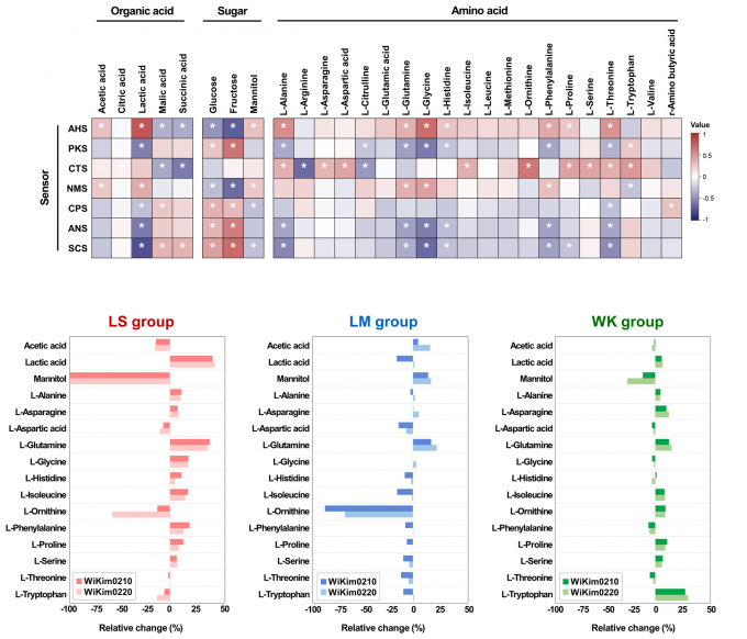 세계김치연구소 연구팀은 미생물 종류에 따라 발효 중 생성되는 주요 맛 성분의 변화량을 정밀 측정하고, 각 미생물이 만드는 맛의 특성을 규명했다. 세계김치연구소 제공