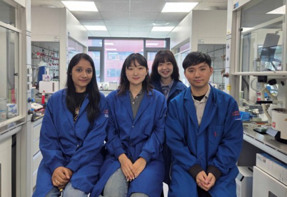 우유·계란 속 비타민 B2, 환경 지키는 '인공효소'로 변신