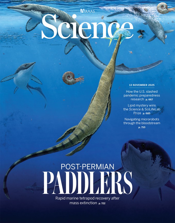 사이언스 표지 논문에 따르면 대멸종 후 단 200만 년 만에 북극 바다에 이미 복잡한 해양 생태계가 형성됐다. 사이언스 제공