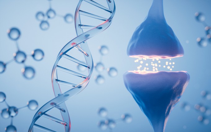 국내 연구팀이 종양억제후보유전자인 ′TUSC3′ 결손이 발달장애를 일으키는 요인이라는 점을 규명했다. 게티이미지뱅크 제공
