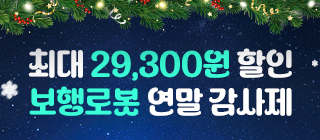 마케팅팀/12월 보행로봇