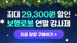 마케팅팀/12월 보행로봇