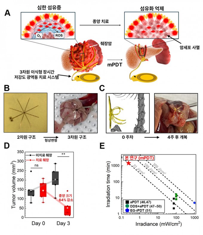 연구팀이 개발한 3차원 장시간, 저강도 광역동치료 시스템 개요. KAIST 제공