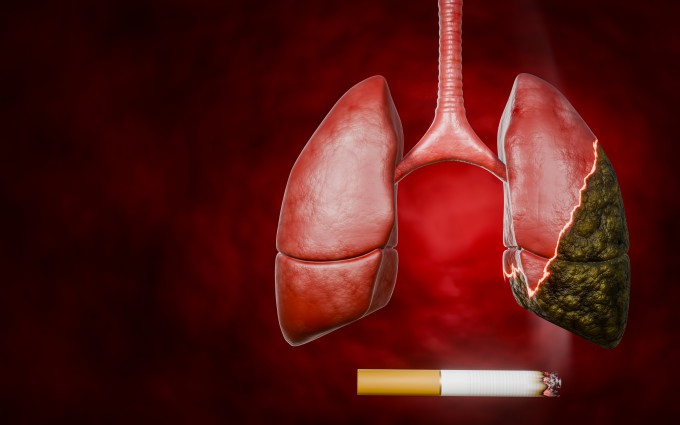how long is chewing tobacco good for after opening FDA Allows Lower Risk Designation for Snuff Product