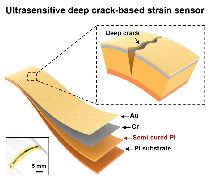 센서의 구조와 작동 원리. 포스텍 제공