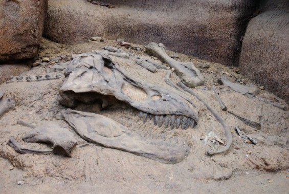 Cosmic dust reveals life recovered surprisingly fast after dinosaur extinction