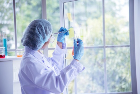 South Korea scraps R&D feasibility study, adopts new two-track review ...