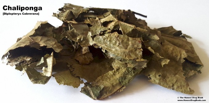 Fast-acting psychedelic DMT eases depression in first clinical trial -  DongA Science