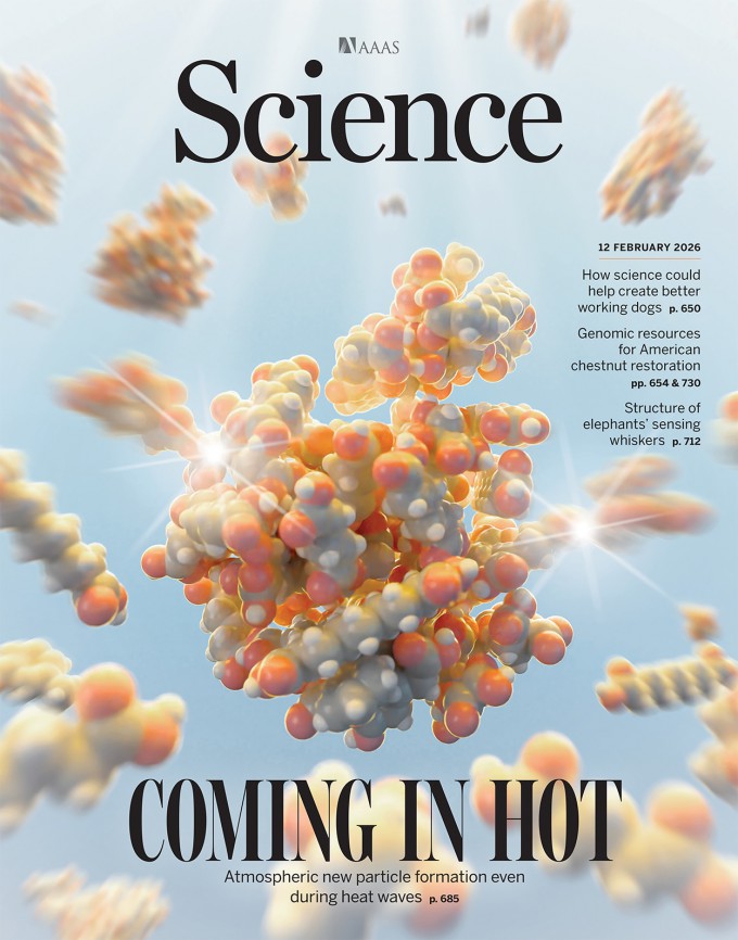 [Cover Story] Heatwaves unexpectedly boost formation of atmospheric ...