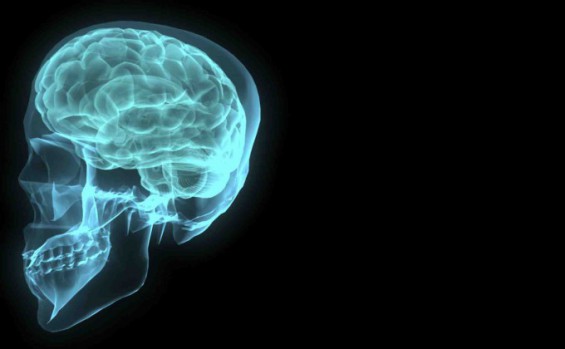 How Blood Can Help Treat Brain Diseases: The Role of n-PBDFn in Parkinson’s and Epilepsy