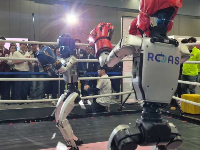 Two humanoid robots wearing gloves are trading punches. This demonstration was conducted by Roas, a robot distribution company. By Lim Jeong-woo, jjwl@donga.com
