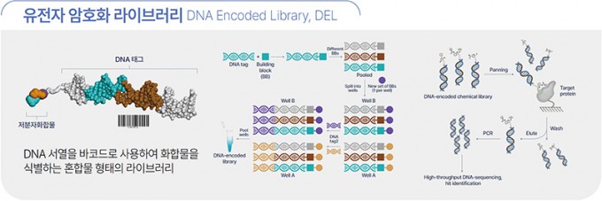 Schematic diagram of DEL. Various compounds can be created by linking each chemical building block. Provided by KRICT.