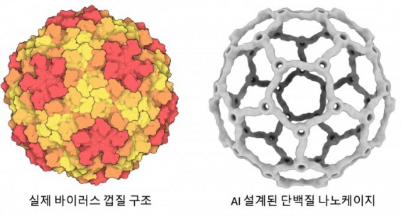 노벨상 수상자와 공동연구…AI로 축구공 닮은 '백신 배달용기' 설계
