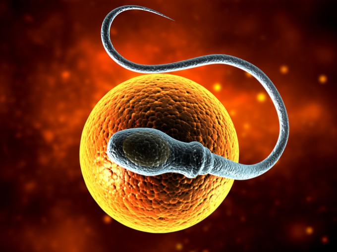 semaglutide sperm Testing for a Low Count Faulty Sperm and Frequent Miscarriages