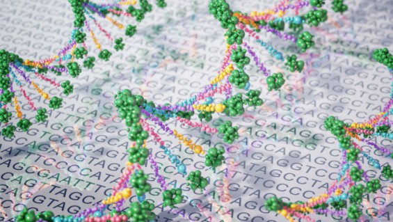 Johns Hopkins team fully decodes both parental chromosomes to launch ...