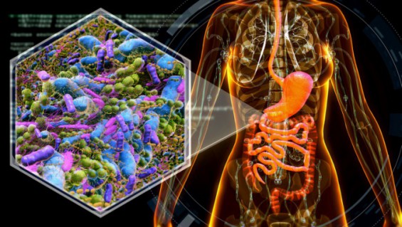 SKKU Researchers Develop World’s First Oral Microbiome Nanomedicine