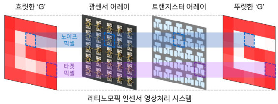 마치 사람 망막처럼…카메라 센서에서부터 선명한 영상 얻는다