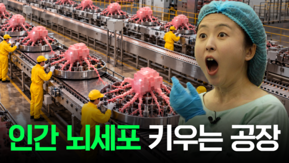 [씨즈더퓨처] AI 전력난 '코앞'...뜻밖의 해법 '뇌세포 데이터센터' 가보... - 뉴스 썸네일 이미지
