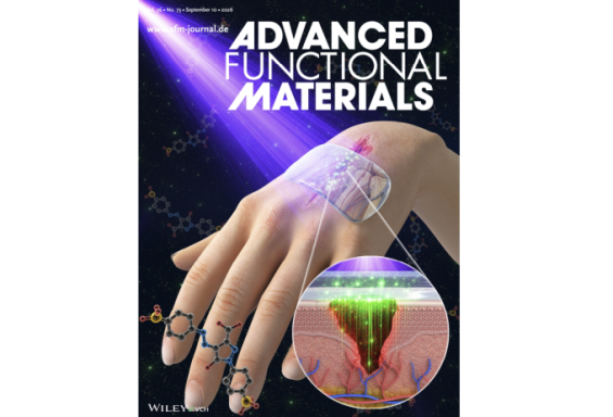 POSTECH Develops Light-Activated Patch That Seals Wounds Without Stitches