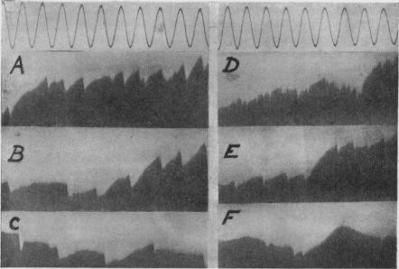 [Romantic Biology] Adrian’s Single Nerve Fiber and the 2026 ...